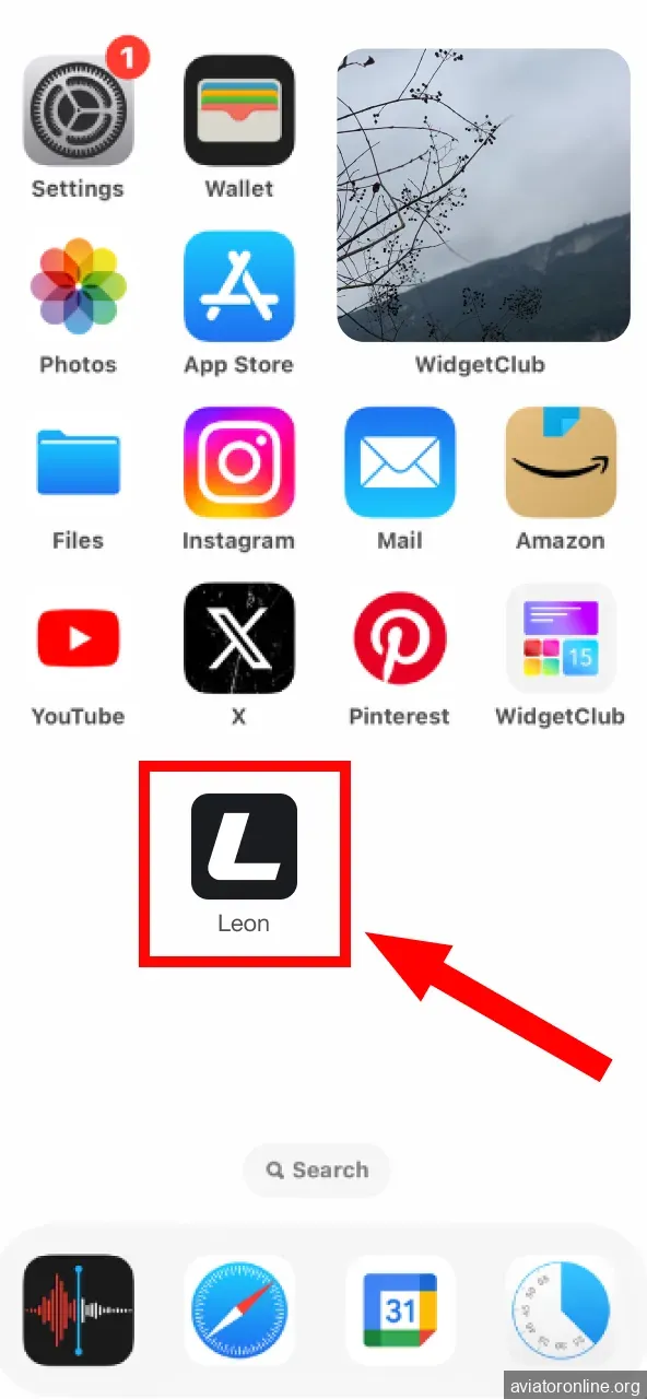 Find Leon shortcut and start the app.